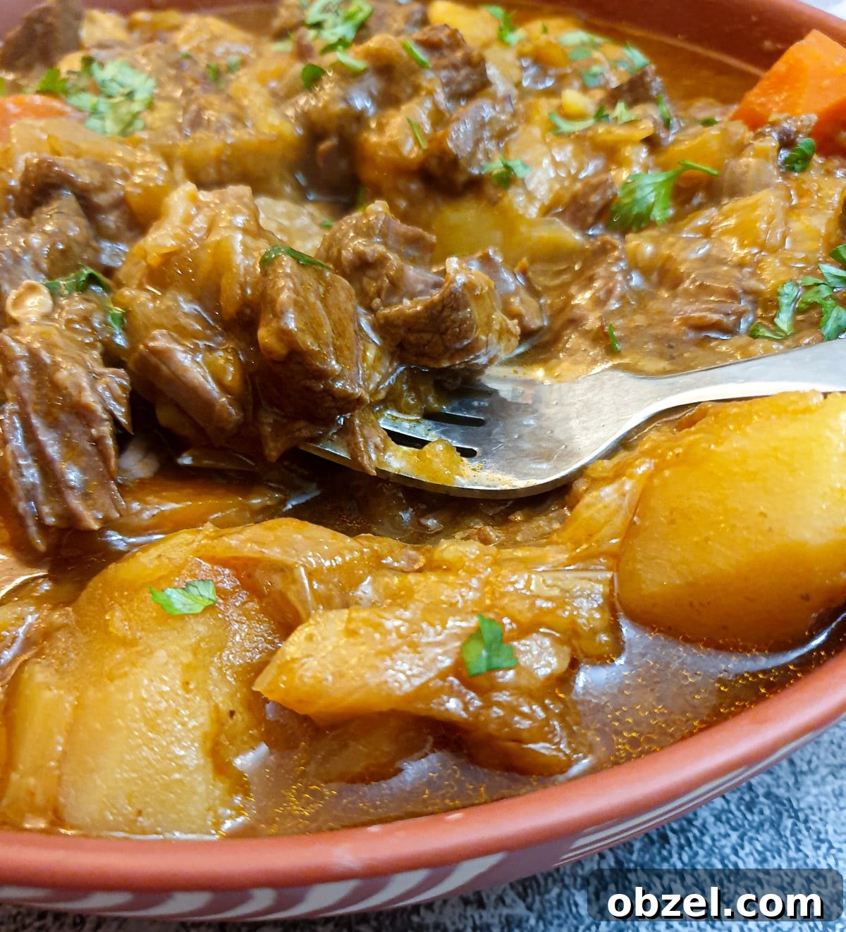 South African Beef Bredie Stew Recipe 14 Close up of beef bredie, showing the potatoes and gravy.