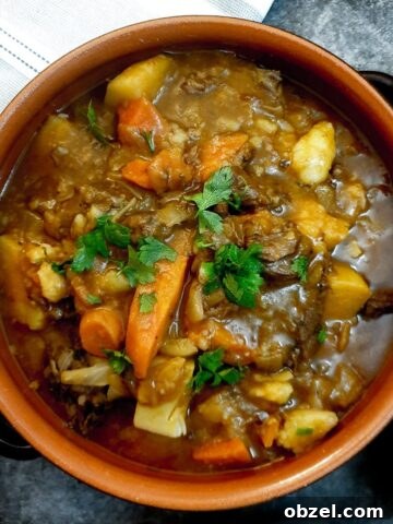 A dish of easy beef stew garnished with chopped parsley.
