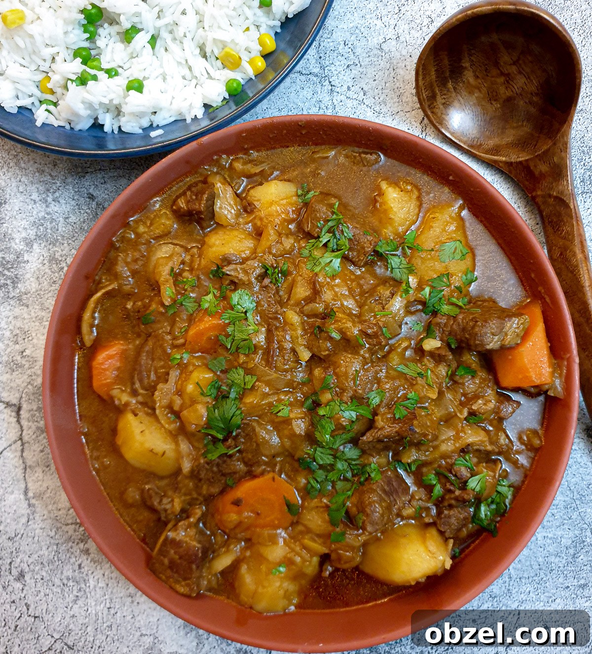 South African Beef Bredie Stew Recipe 3 Overhead shot of a brown serving dish of South African beef stew with a dish of white rice and a brown wooden serving spoon.