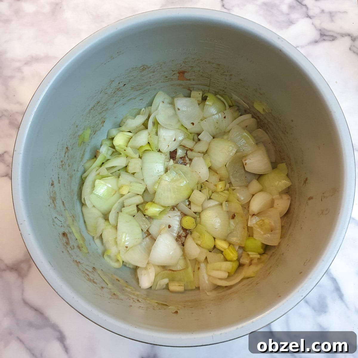 South African Beef Bredie Stew Recipe 7 Onions and celery being sauteed in a pressure cooker.