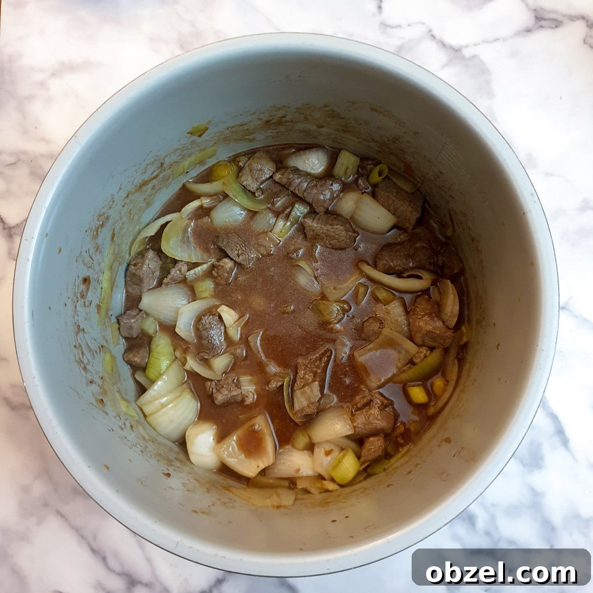 South African Beef Bredie Stew Recipe 8 Beef cubes, onions and gravy in a pressure cooker.