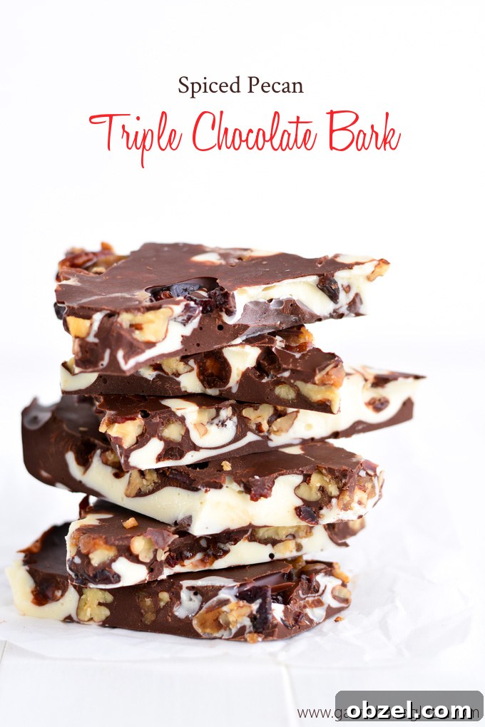 Spiced Pecan Triple Chocolate Bark recipe with dried cherries