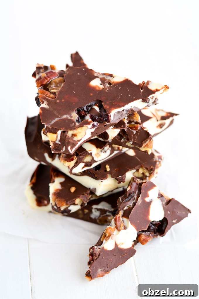 Spiced pecan chocolate bark with dried cherries