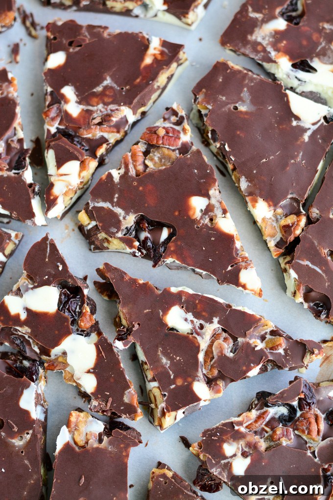 Holiday chocolate bark with spiced pecans and cherries
