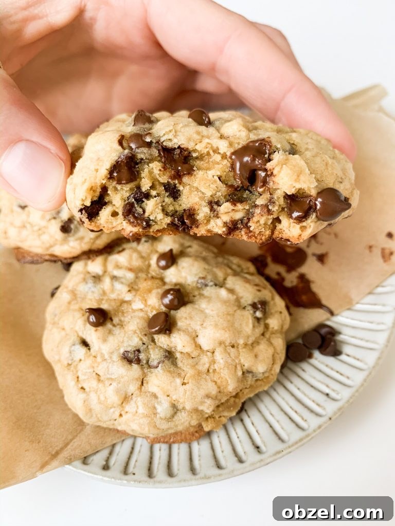 a hand holding a chocolate chip cookie with a bite taken out