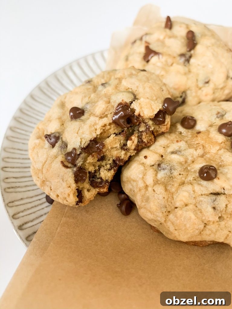 melty chocolate chip cookie