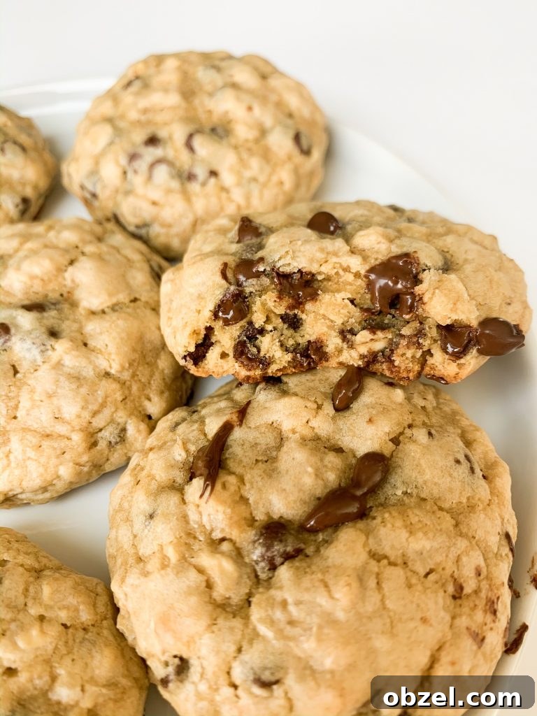 a white plate of oatmeal cookies
