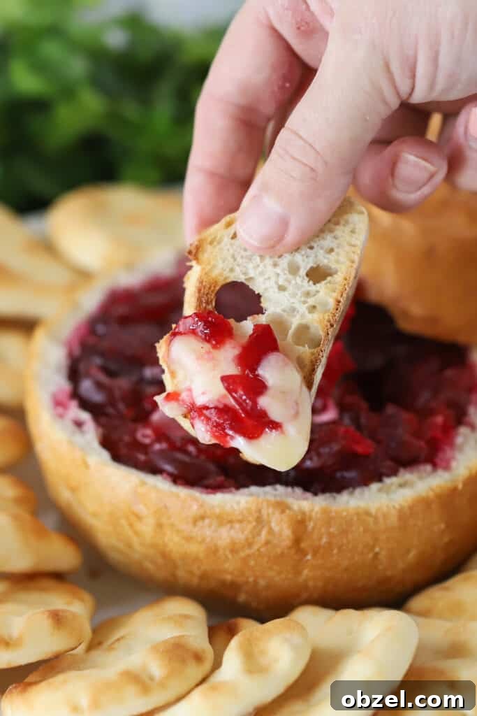 Baked Brie with Cranberry Sauce 2 A hand holding a piece of bread dipped in cranberry baked brie.