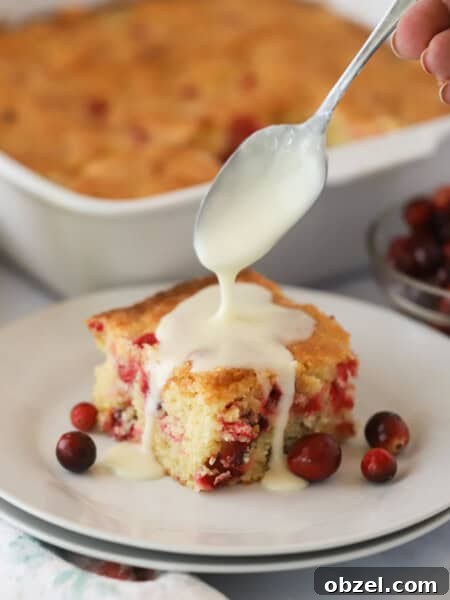 Baked Brie with Cranberry Sauce 6 Cranberry Orange Coffee Cake Recipe