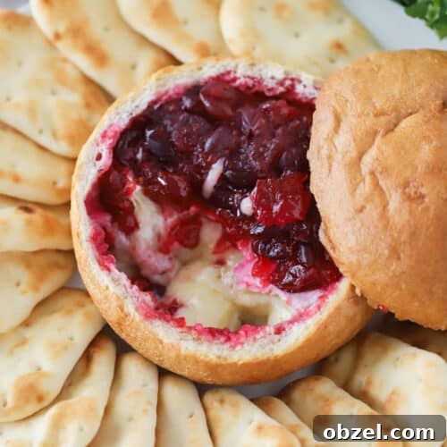 Baked Brie with Cranberry Sauce 9 Baked brie with cranberries, cranberry brie dip, brie recipes.