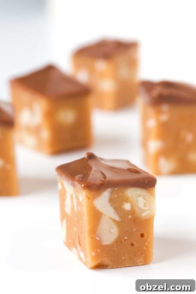 5 Ingredient Chocolate Peanut Nougat Recipe 2 5-Ingredient chocolate Peanut Nougat - no baking, whisking or thermometers needed. Just melt, mix, cool, cut and dip. Sweet, chewy and delicious!