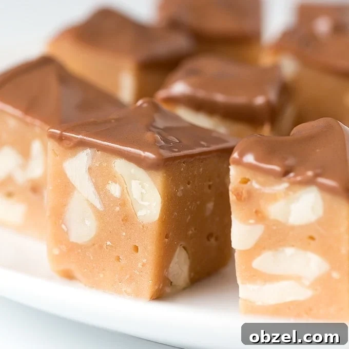 5 Ingredient Chocolate Peanut Nougat Recipe 6 5-Ingredient chocolate Peanut Nougat - no baking, whisking or thermometers needed. Just melt, mix, cool, cut and dip. Sweet, chewy and delicious!
