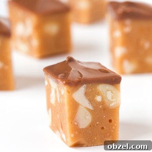 5 Ingredient Chocolate Peanut Nougat Recipe 7 Chocolate peanut nougat pieces