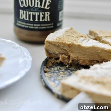 No Bake Muddy Buddy Cookies 12 slice of cookie butter pie missing from the whole pie.