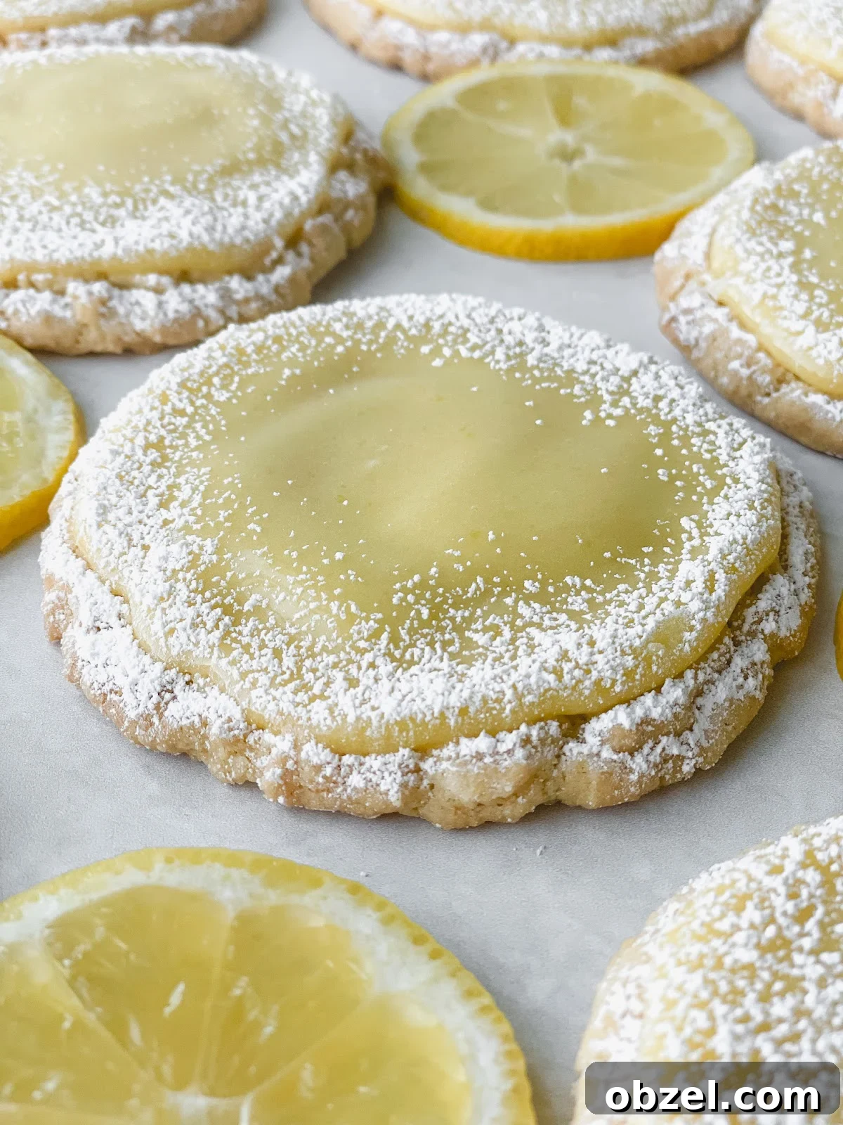 Lemon Curd Cookies with Tangy Citrus Filling 8 Finished lemon curd cookies with powdered sugar