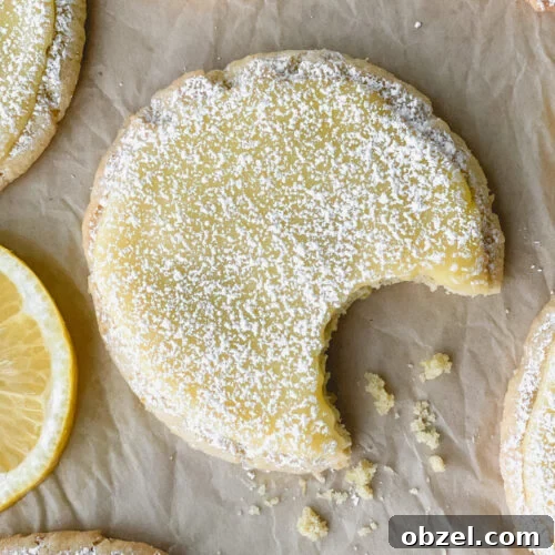 Lemon Curd Cookies with Tangy Citrus Filling 10 Lemon curd cookies recipe