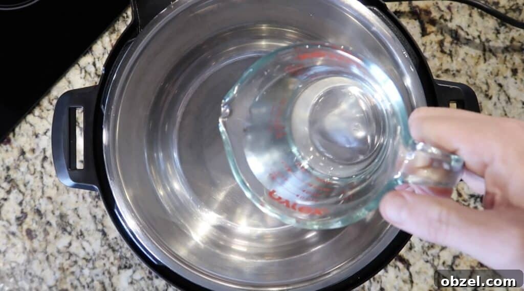 Pouring water in Instant Pot
