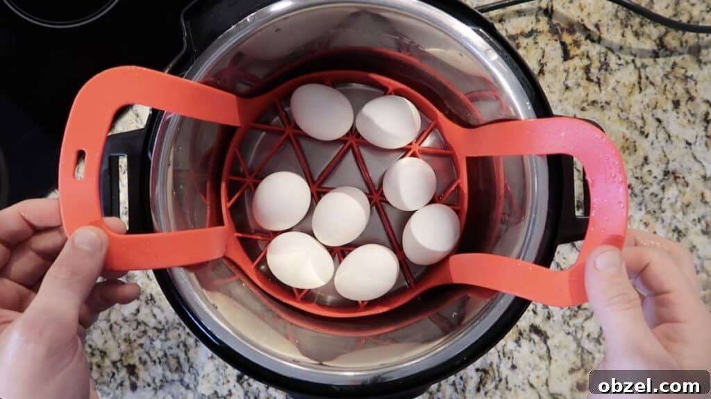 Laying 8 eggs on sling in pot