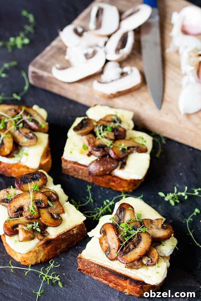 Garlic Mushroom and Brie Toast Recipe 4 Garlic Mushroom and Brie Toast cut into squares with a sprig of thyme ontop