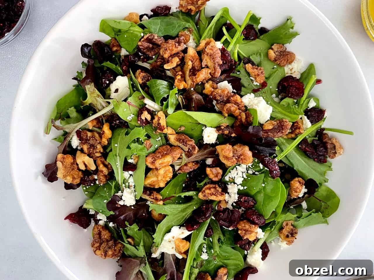 walnut, feta, and cranberry salad