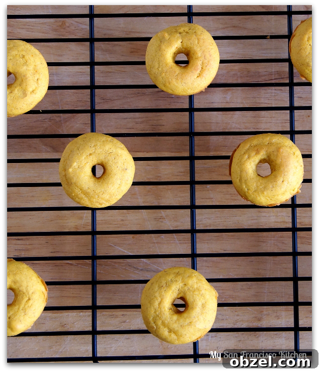pumpkin-donuts-2