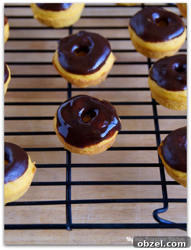 pumpkin-donuts-3