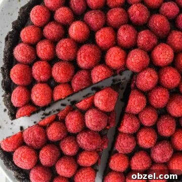 overhead shot of chocolate raspberry tart on plate with slice being pulled away