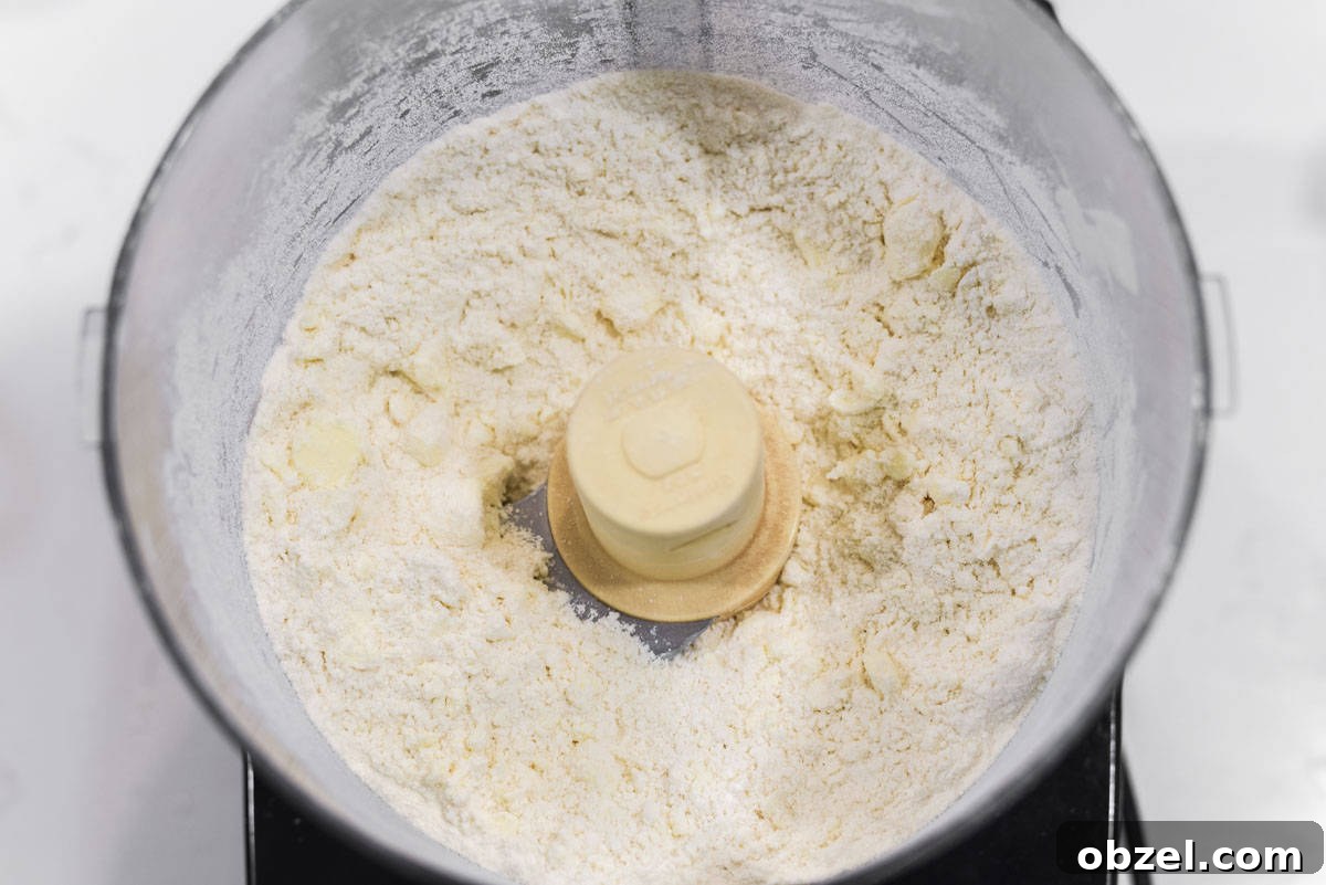 Dry ingredients pulsed in a food processor before adding butter.