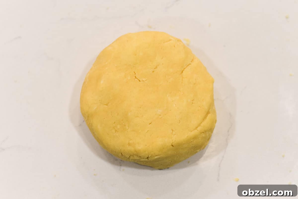 Short crust pastry in disc.