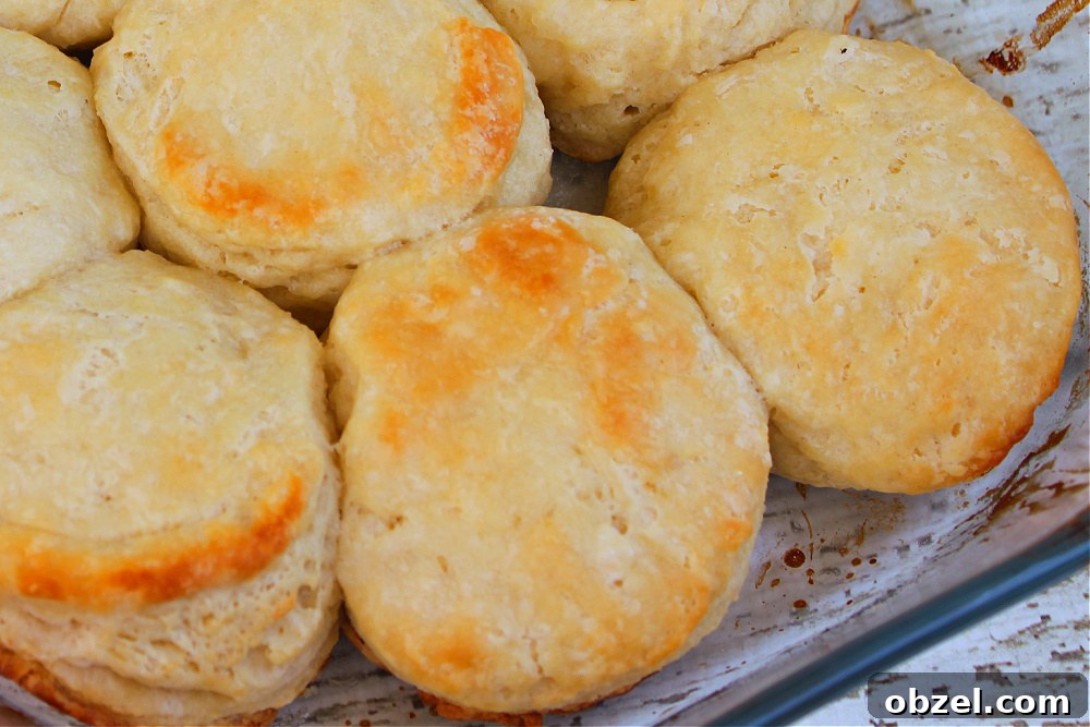 Flaky Honey Buttermilk Biscuits 13 Fresh homemade biscuits