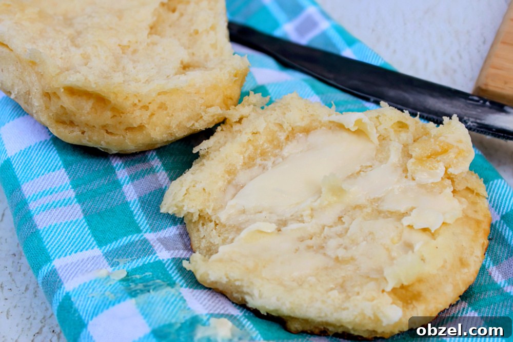 Flaky Honey Buttermilk Biscuits 16 Warm honey buttermilk biscuits