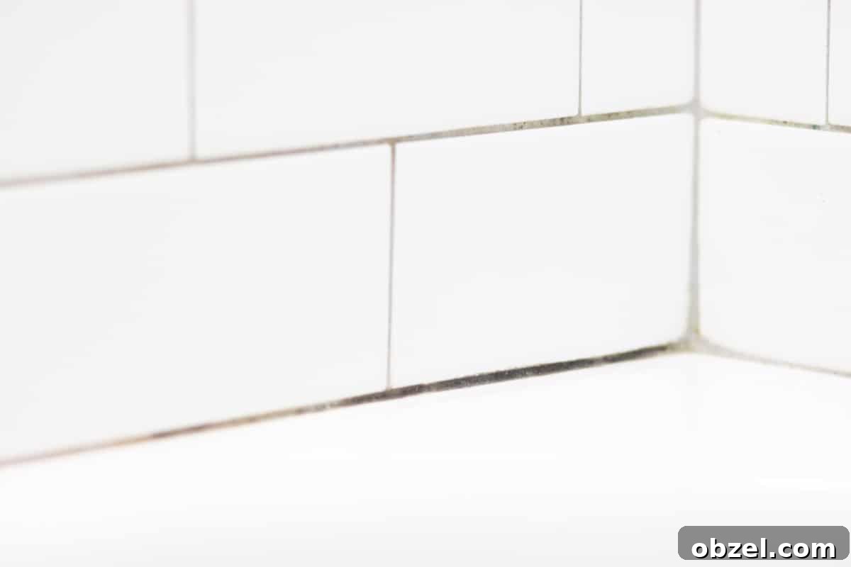 mold in shower tile grout