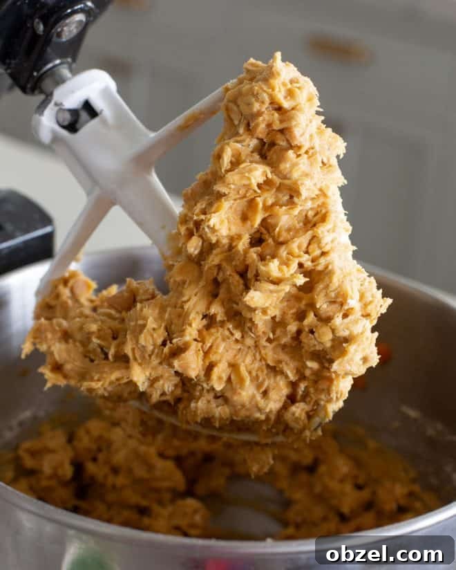 Pumpkin Oatmeal Scotchies with Butterscotch Chips 3 pumpkin oatmeal scotchie cookie dough