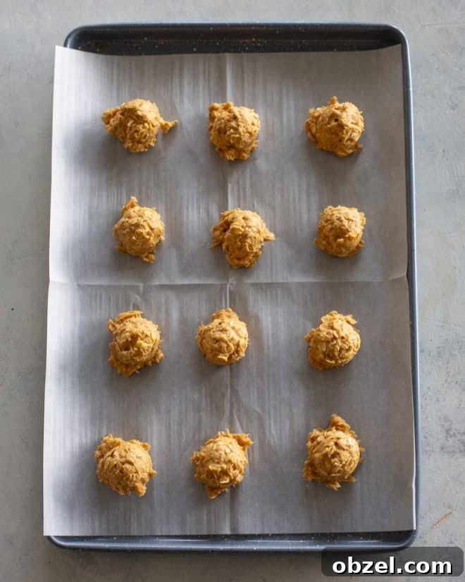 Pumpkin Oatmeal Scotchies with Butterscotch Chips 4 pumpkin oatmeal scotchie cookie dough
