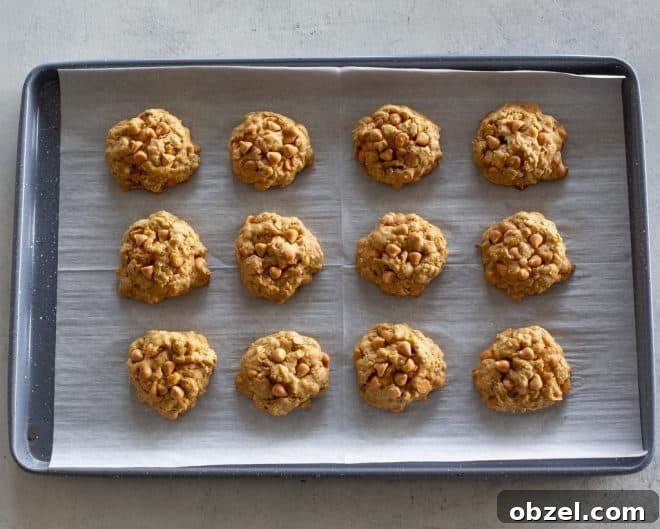 Pumpkin Oatmeal Scotchies with Butterscotch Chips 5 Pumpkin Oatmeal Scotchies