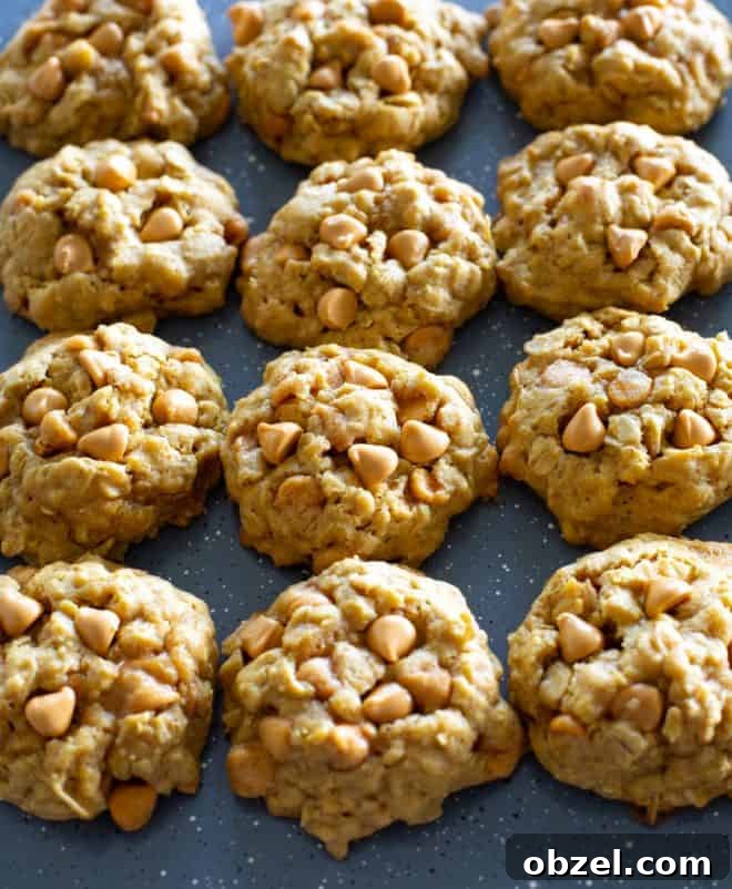 Pumpkin Oatmeal Scotchies with Butterscotch Chips 6 Pumpkin Oatmeal Scotchies