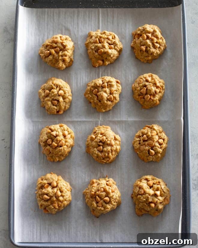 Pumpkin Oatmeal Scotchies with Butterscotch Chips 7 Pumpkin Oatmeal Scotchies