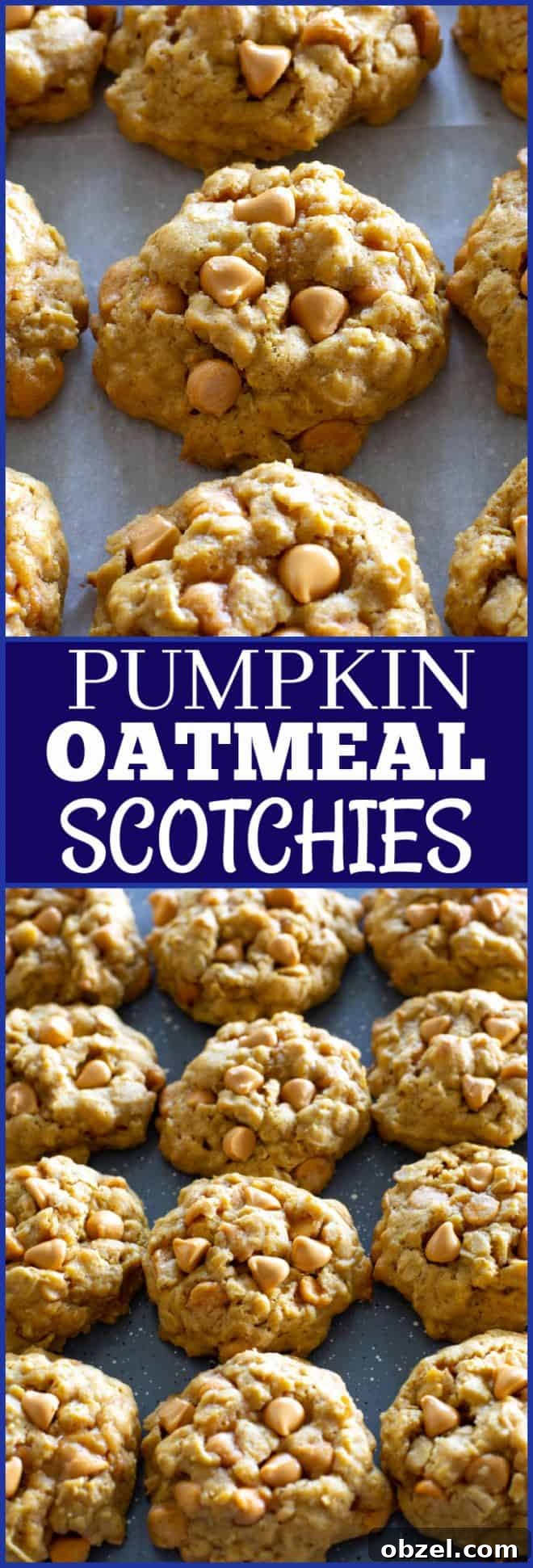 Pumpkin Oatmeal Scotchies with Butterscotch Chips 9 pumpkin oatmeal scotchies