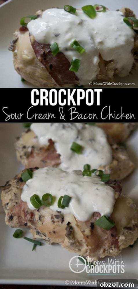 Crockpot Chicken with Sour Cream and Bacon 2 Sour Cream and Bacon Crockpot Chicken served with a creamy sauce