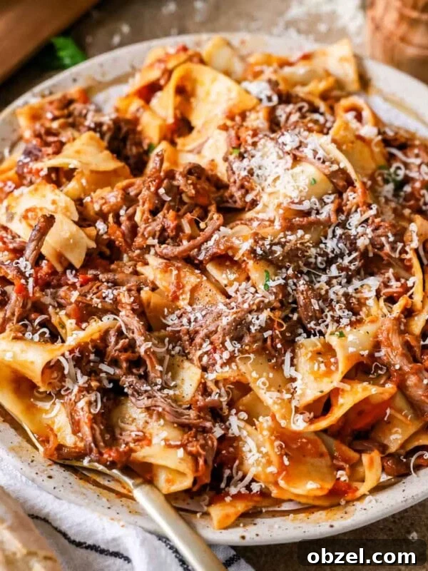 Homemade Sourdough Bread Recipe with Starter 12 Plate of short rib ragu over pappardelle pasta topped with grated parmesan cheese.