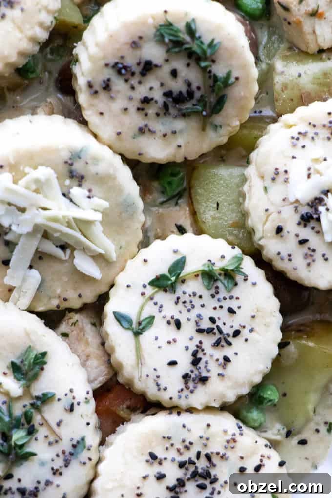 Leftover Turkey Pot Pie with Flaky Biscuits 2 Turkey pot pie with herb biscuit topping.