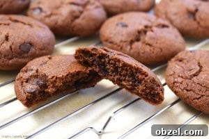 Fudgy Chocolate Pudding Cookies Recipe 2 Chocolate Pudding Cookies. Thick and chewy chocolate pudding cookies using chocolate pudding mix right into the cookie dough mixture complete with chocolate chips! #puddingcookies #chocolatecookies #chocolatepudding #chocolatepuddingcookies #chewychocolatecookies