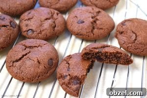 Fudgy Chocolate Pudding Cookies Recipe 6 Chocolate Pudding Cookies. Thick and chewy chocolate pudding cookies using chocolate pudding mix right into the cookie dough mixture complete with chocolate chips! #puddingcookies #chocolatecookies #chocolatepudding #chocolatepuddingcookies #chewychocolatecookies