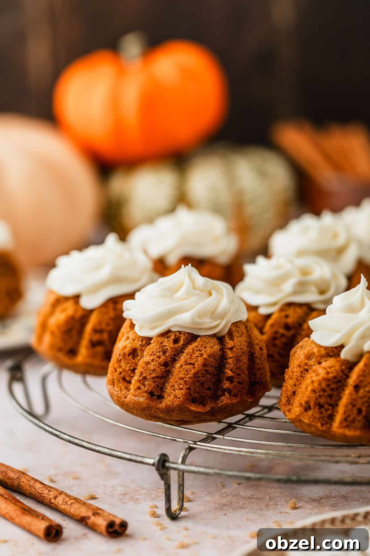 Pumpkin Spice Mini Bundt Cakes 2 Rows of pumpkin mini bundt cakes on a wire rack next to pumpkins, cinnamon sticks, and a brown plate with a brown marble background.