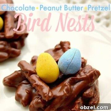 Bird Nests image