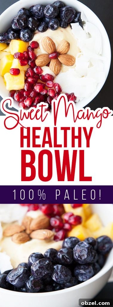 Sweet Mango Smoothie Bowl Recipe 5 Sweet Mango Healthy Bowl