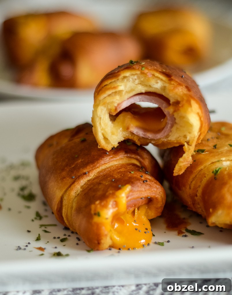 Crispy Air Fryer Ham and Cheese Crescent Rolls 2 air fryer ham and cheese crescent rolls