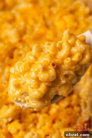 Creamy Butter Chicken Sauce Recipe 16 This baked mac and cheese is a family favorite recipe, loved by both children and adults. Perfect for a comforting dinner or as a holiday side dish!