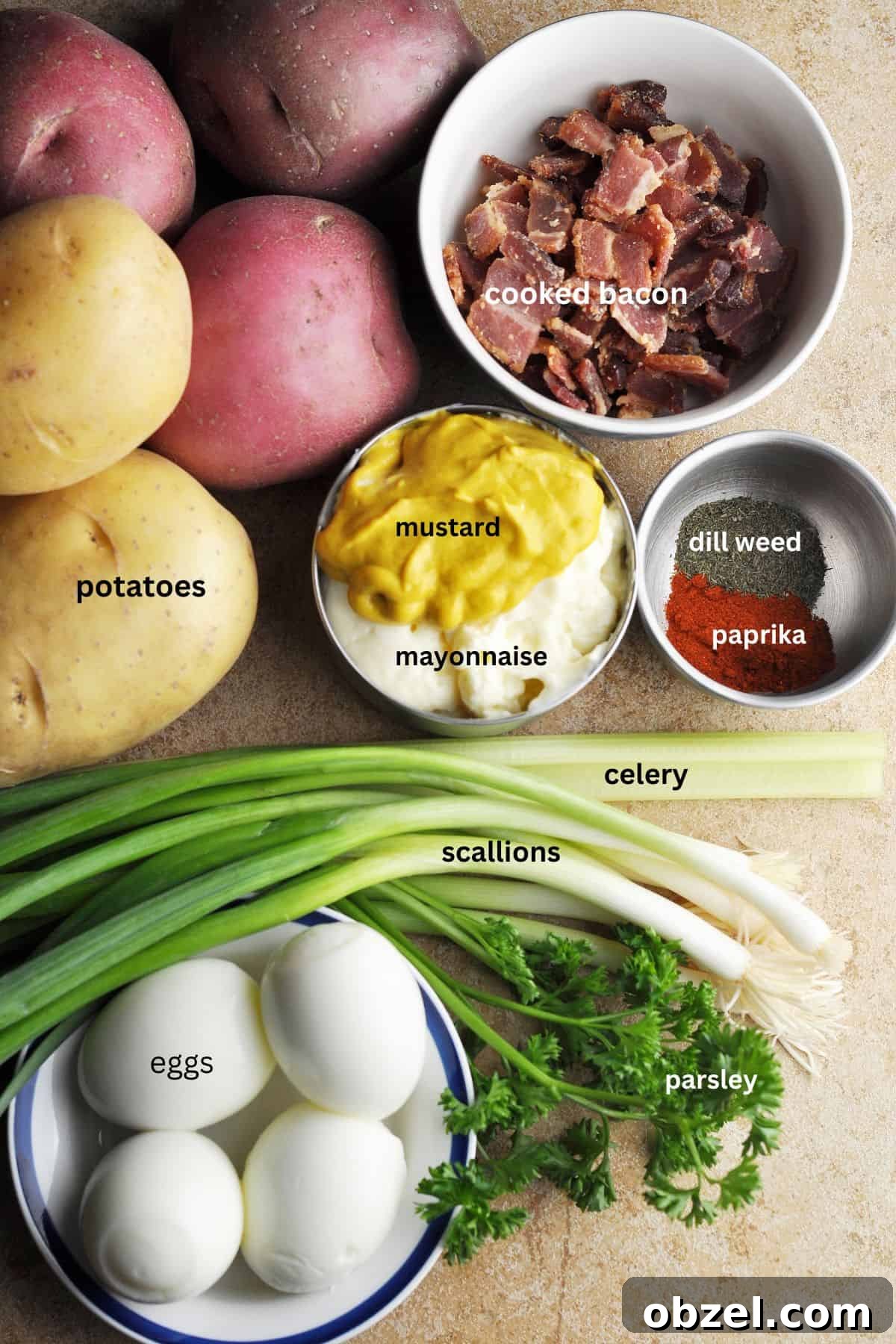 Ingredients for potato salad, including boiled eggs, potatoes, bacon, parsley, celery, scallions, dry dill, paprika, mustard, and mayonnaise.