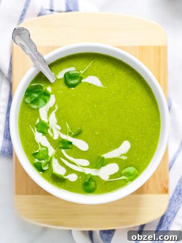 A white bowl filled with green spinach and white bean soup.